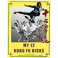 My 12 Kung Fu Kicks