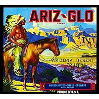 Mesa Arizona Ariz-Glo Brand Native American on Horseback Orange Citrus Fruit Crate Box Label Art Print