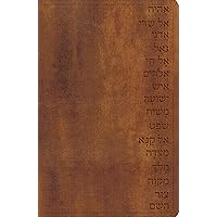 GW Names of God Bible Walnut, Hebrew Name Design Duravella GW Names of God Bible Walnut, Hebrew Name Design Duravella Imitation Leather