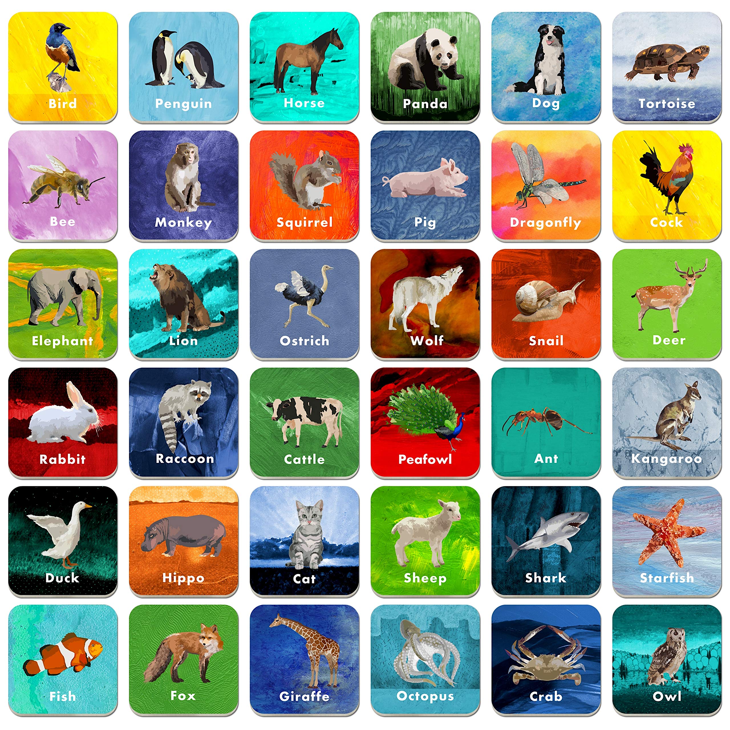 Mua Hebayy 36 Pair Animal Matching Game Flash Cards Erasable (Each Measures  2” X 2”) trên Amazon Mỹ chính hãng 2023 | Fado