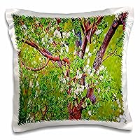 3D Rose Close Up of What Looks Like Popcorn Popping On Apricot Tree with Hue Vibrant Green-Red & Yellow Design Pillowcase, 16