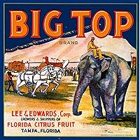 A SLICE IN TIME Tampa Florida Big Top Brand Elephant and Circus Orange Citrus Fruit Crate Label Art Print