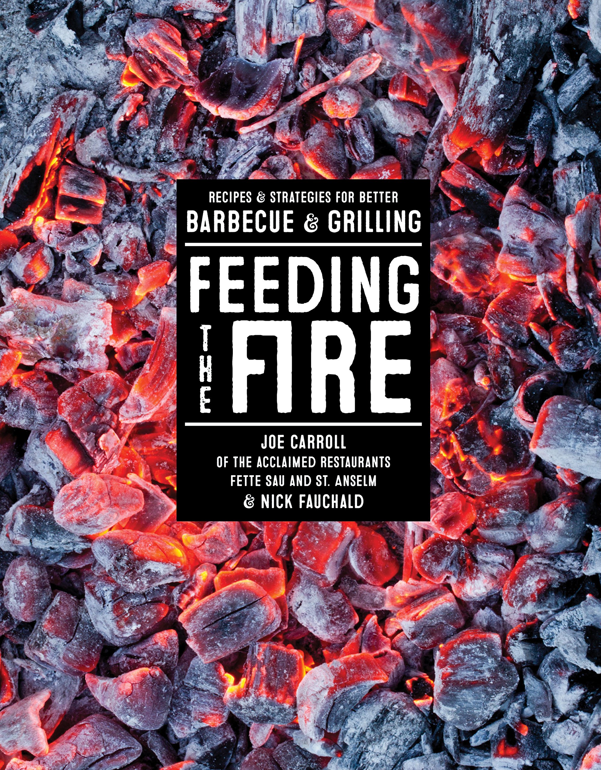 Feeding the Fire: Recipes and Strategies for Better Barbecue and Grilling