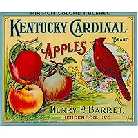 A SLICE IN TIME Henderson Kentucky Cardinal Brand Bird Apple Apples Fruit Crate Label Vintage Art Print