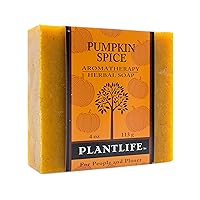Plantlife Pumpkin Spice Bar Soap - Moisturizing and Soothing Soap for Your Skin - Hand Crafted Using Plant-Based Ingredients - Made in California 4oz Bar