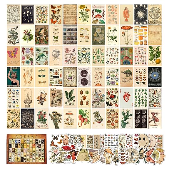 Mua ANERZA 100 PCS Vintage Wall Collage Kit Aesthetic Pictures ...