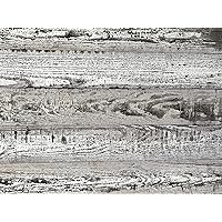 E-210 Thermally-Modified Barn Wood Wall Planks, Nail-In, 5