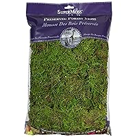 SuperMoss (25322) Forest Moss Preserved, Fresh Green, 8oz