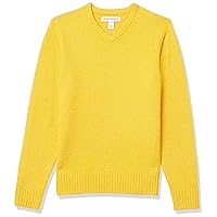 Amazon Essentials Men's Long-Sleeve Soft Touch V-Neck Sweater