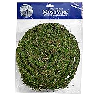 SuperMoss (22711 MossVine Garland, Fresh Green, 12ft