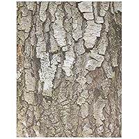 Roylco Terrific Tree Craft Paper (32 Sheets)