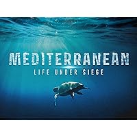 Mediterranean: Life Under Siege
