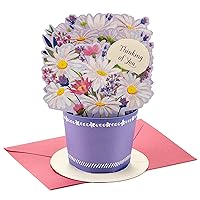 Hallmark Paper Wonder Pop Up Card (Daisy Flower Bouquet) for Mother's Day, Spring, Birthday, Thinking of You, Congrats, or Any Occasion