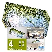 OCTO LIGHTS Fluorescent Light Covers for Classroom Office - Eliminate Harsh Glare Causing Eyestrain and Headaches. Office & Classroom Decorations - Tree 006-4pk