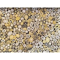 Gustav Klimt-Grey-Gold-Robert Kaufman-Quilting Cotton Fabric 1/2 Yard 43