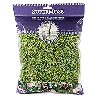 SuperMoss (26907) Spanish Moss Preserved, Grass, 4oz, 120 cubic in Bag (Appx. 4oz) (7 59834 26907 6)