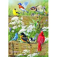 Buffalo Games - Hautman Brothers - Songbird Menagerie - 300 LARGE Piece Jigsaw Puzzle, 21-1/4inx15in , Green