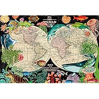 Ceaco - World Map - 2000 Piece Jigsaw Puzzle
