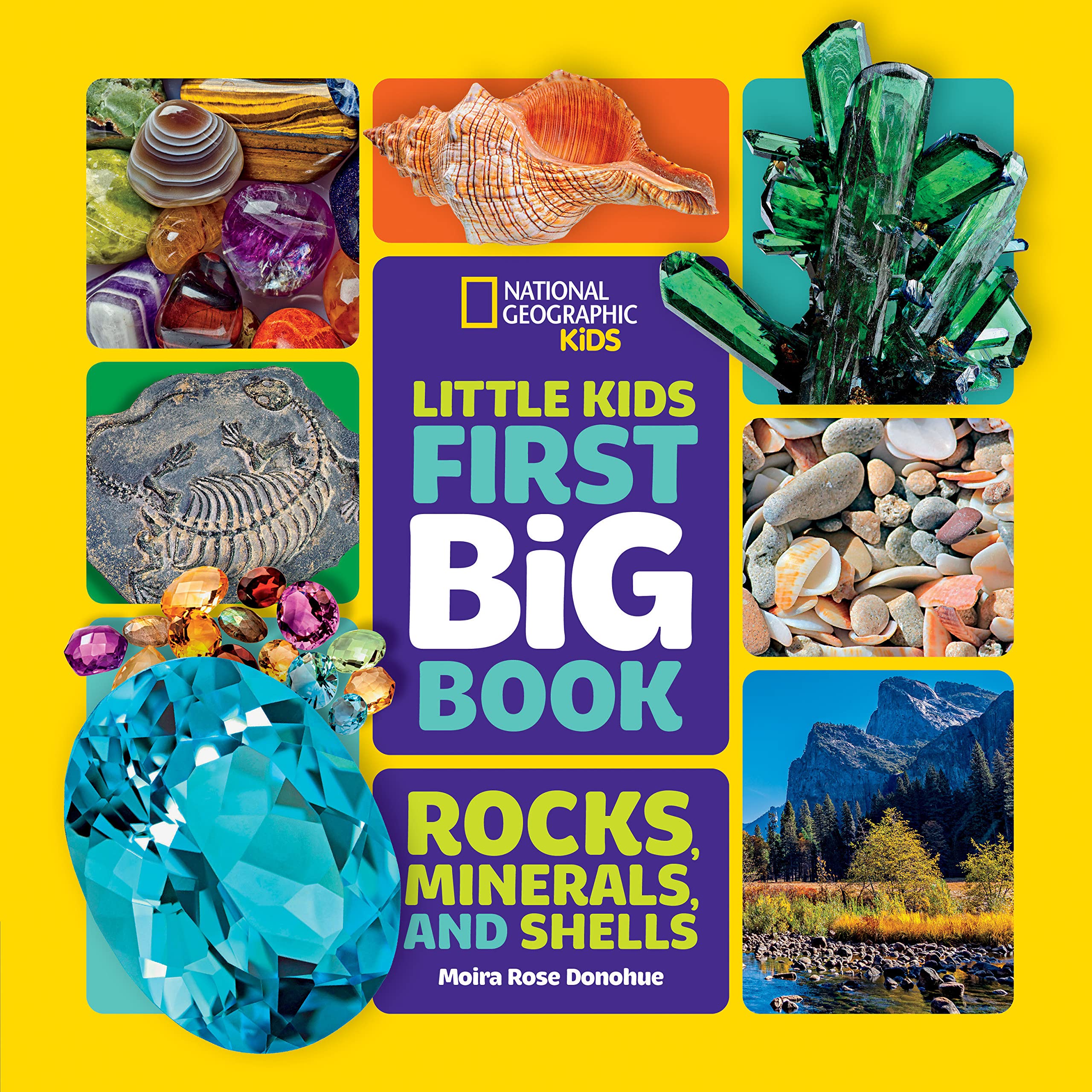Little Kids First Big Book of Rocks, Minerals & Shells-Library edition (National Geographic Little Kids First Big Books)