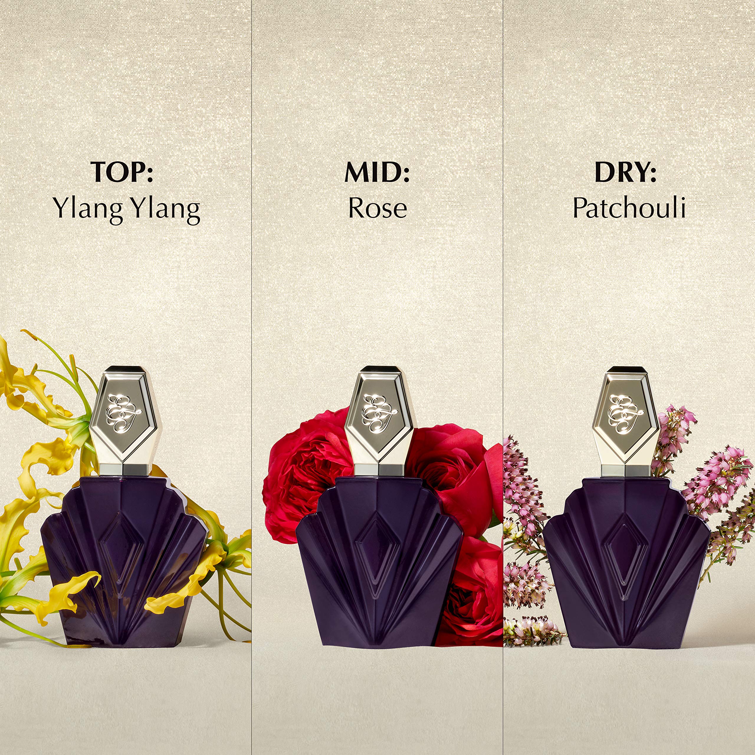 Elizabeth Taylor Passion Women's Fragrance Gift Set, 1.5 Fl Oz