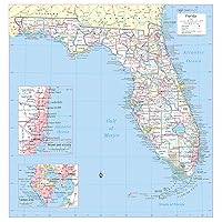Cool Owl Maps Florida State Wall Map Poster Rolled (Laminated 30
