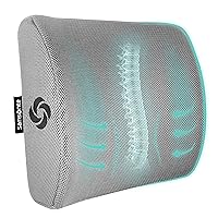 Samsonite SA5244 Ergonomic Lumbar Support Pillow Helps Relieve Lower Back Pain 100% Pure Memory Foam Improves Posture Fits Most Seats Breathable Mesh Washable Cover Adjustable Strap