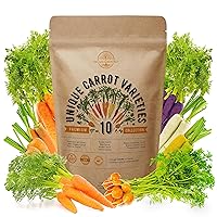 Organo Republic 10 Carrot Seeds Variety for Planting in Home Garden Indoor/Outdoor. Plant Non GMO Heirloom Carrots Seeds Rare Cosmic, Rainbow, Purple Seed Packets