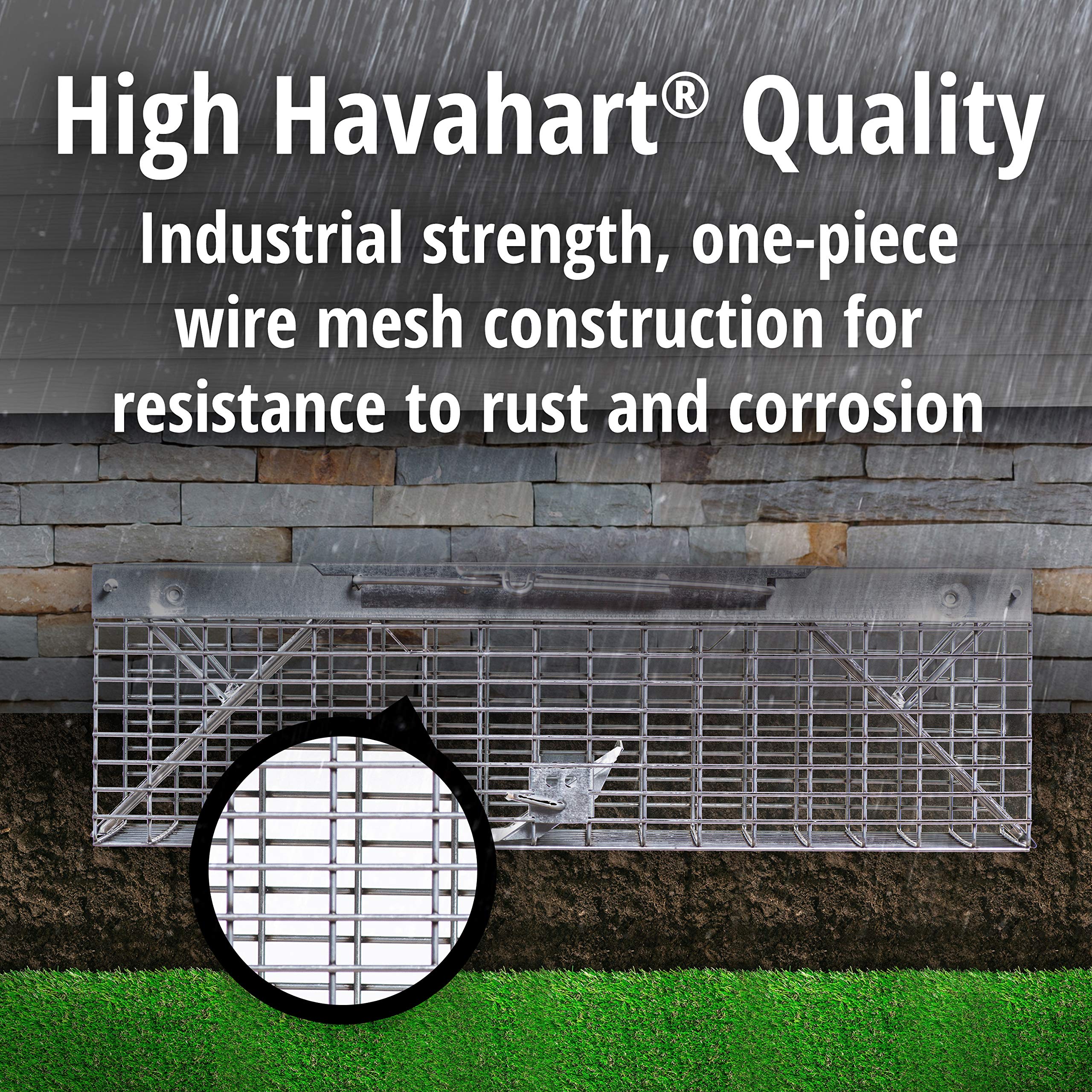 Havahart 1025 Small 2-Door Humane Catch and Release Live Animal Trap for Squirrels, Chipmunks, Rats, Weasels, and Small Animals
