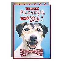 Hallmark Birthday Card (Playful Side, Dog in Bow Tie)